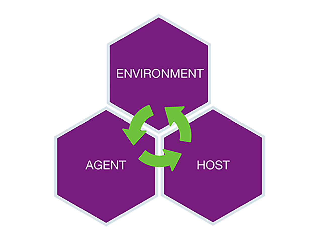 chart showing cycle connecting agent host and environment