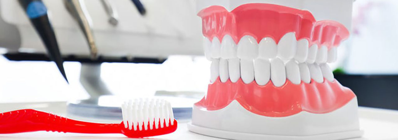 toothbrush and mouth tooth model with dental equipment in background