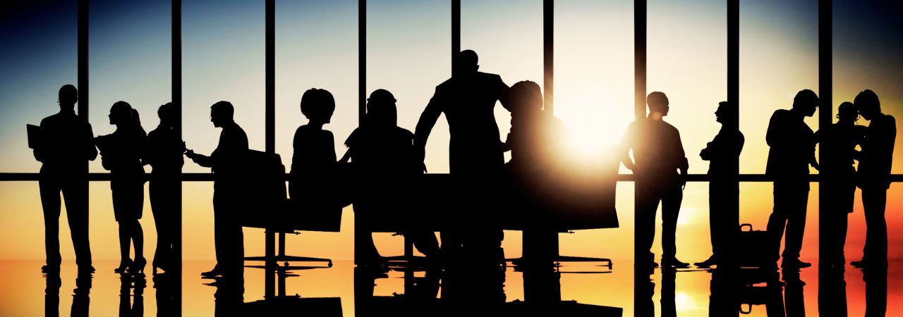 Silhouette of diverse professionals working together